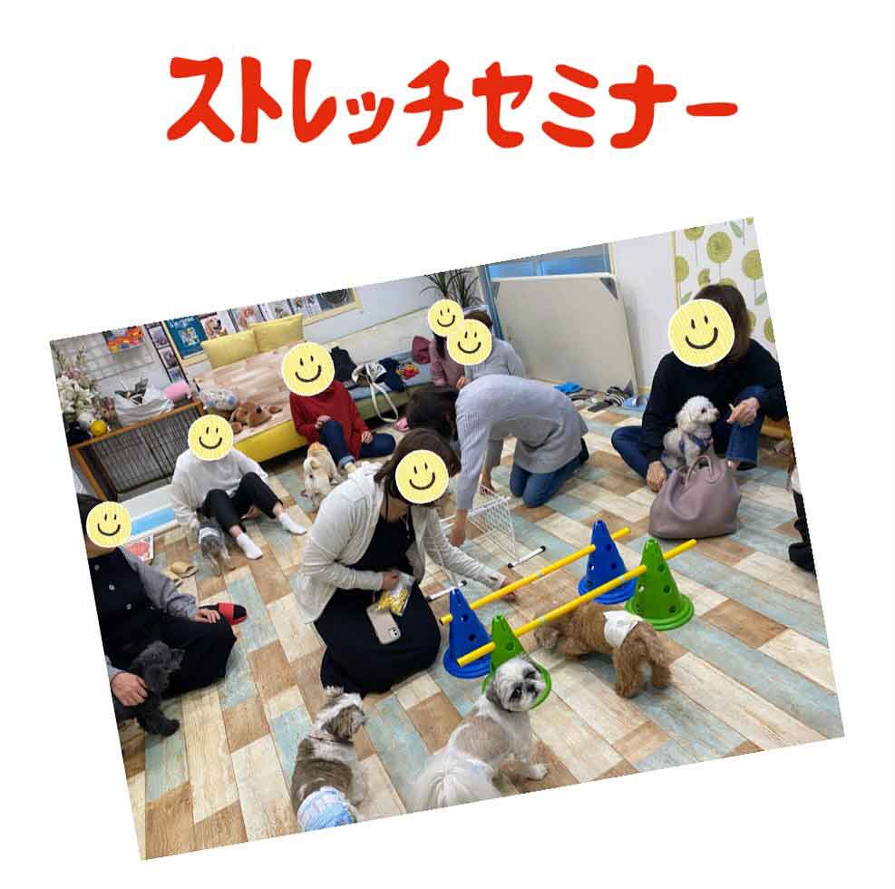 アニマルヘルスケアサポート楓