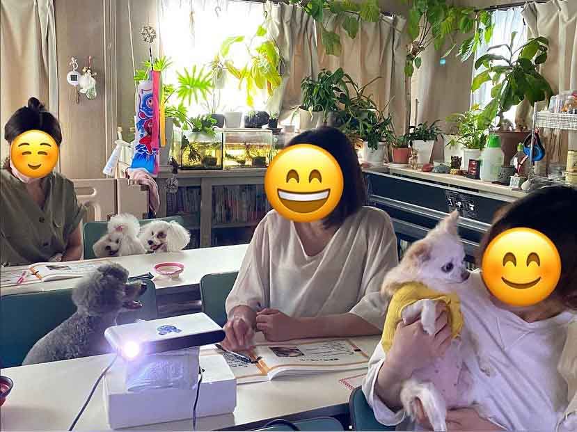 アニマルヘルスケアサポート楓