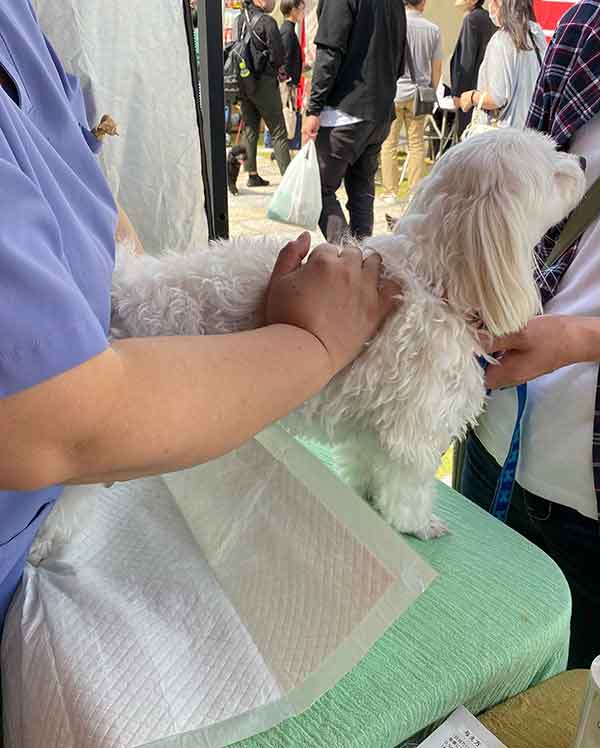 アニマルヘルスケアサポート楓