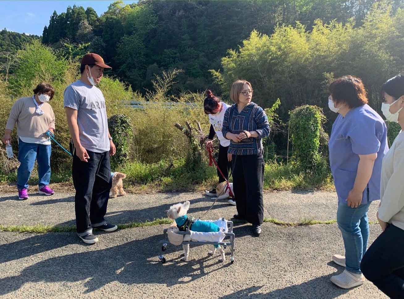 アニマルヘルスケアサポート楓