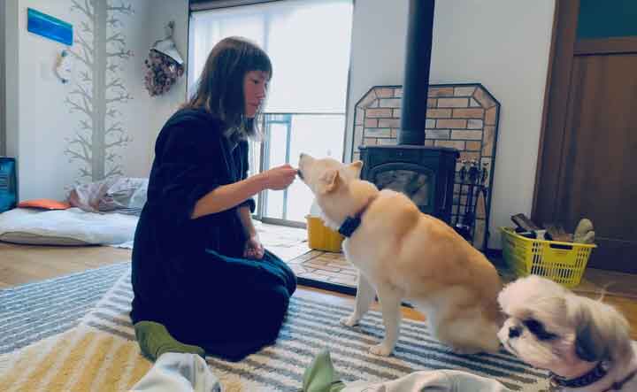 アニマルヘルスケアサポート楓