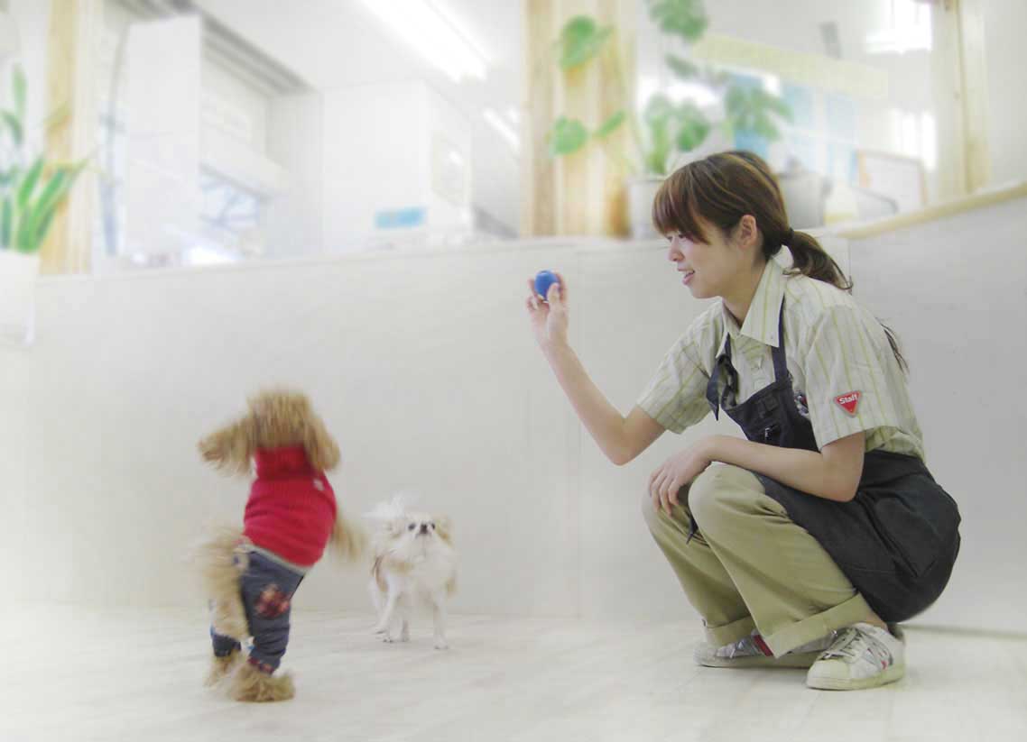 マザーズドッグス