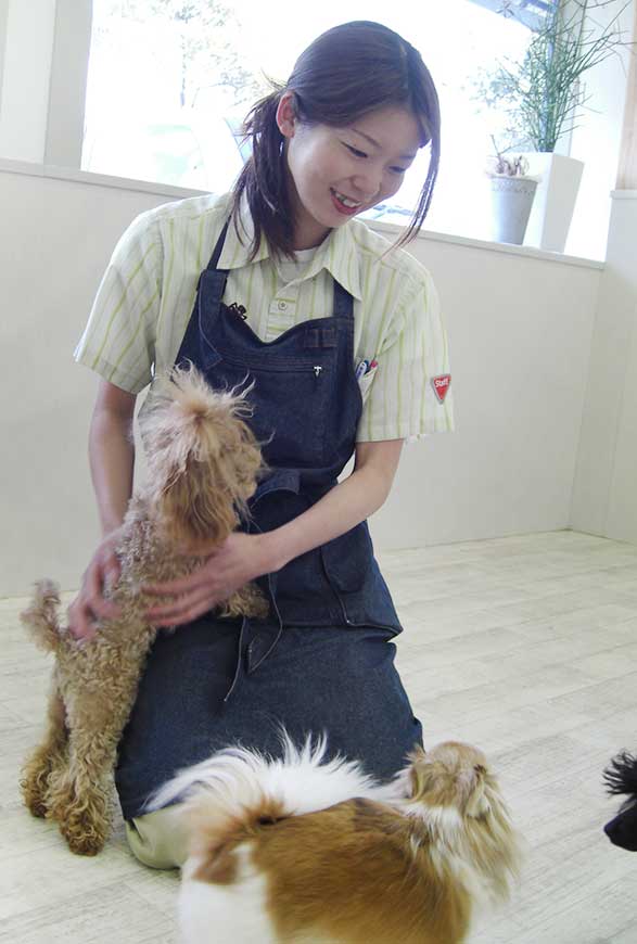 マザーズドッグス