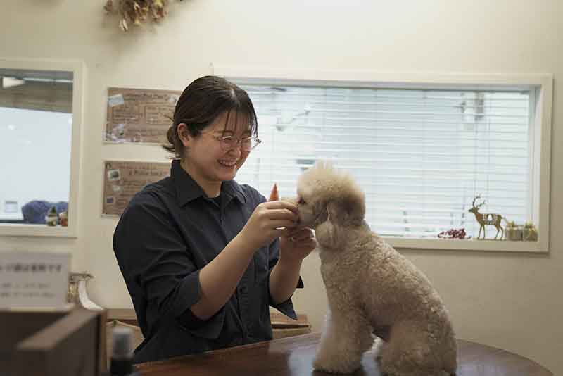 マザーズドッグス