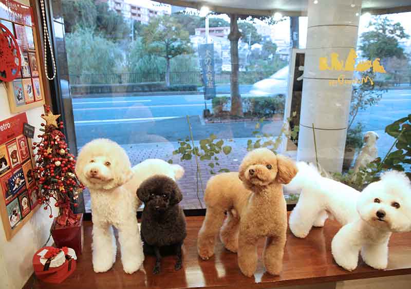 マザーズドッグス