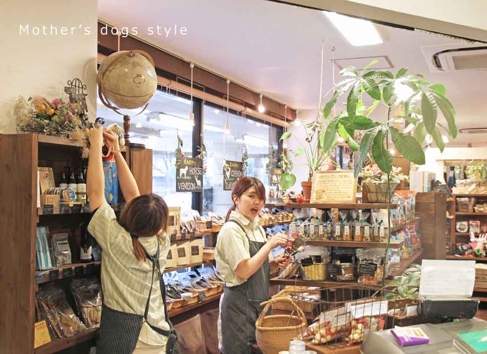 マザーズドッグス