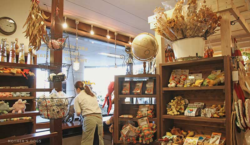 マザーズドッグス