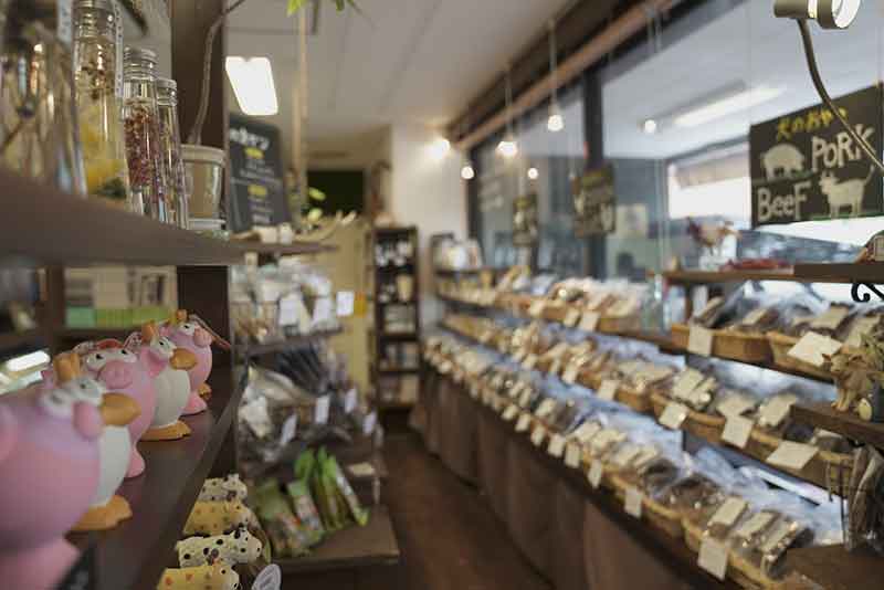 マザーズドッグス