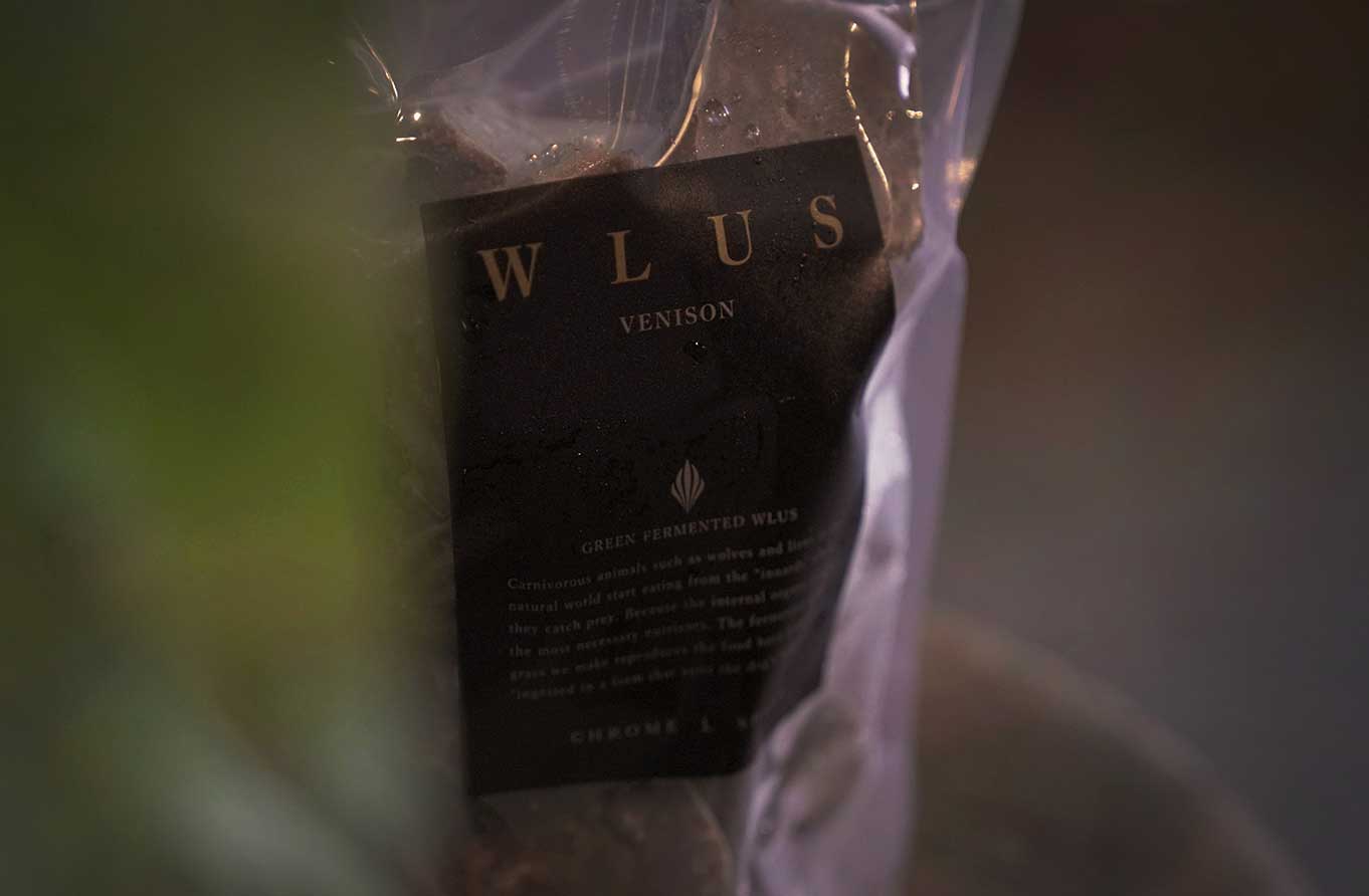 マザーズドッグス