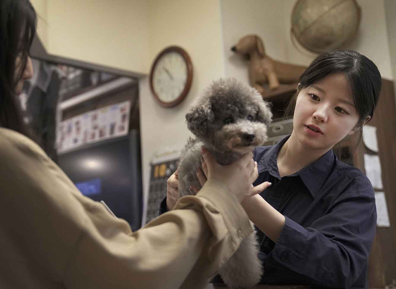 マザーズドッグス