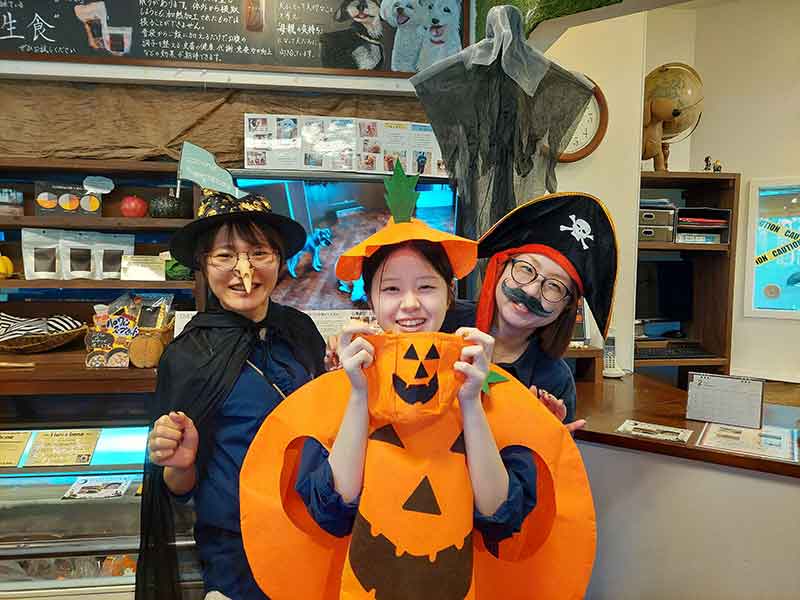 マザーズドッグス