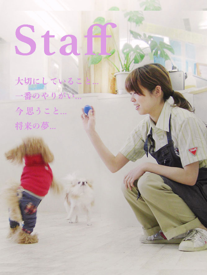 マザーズドッグス 犬の保育園