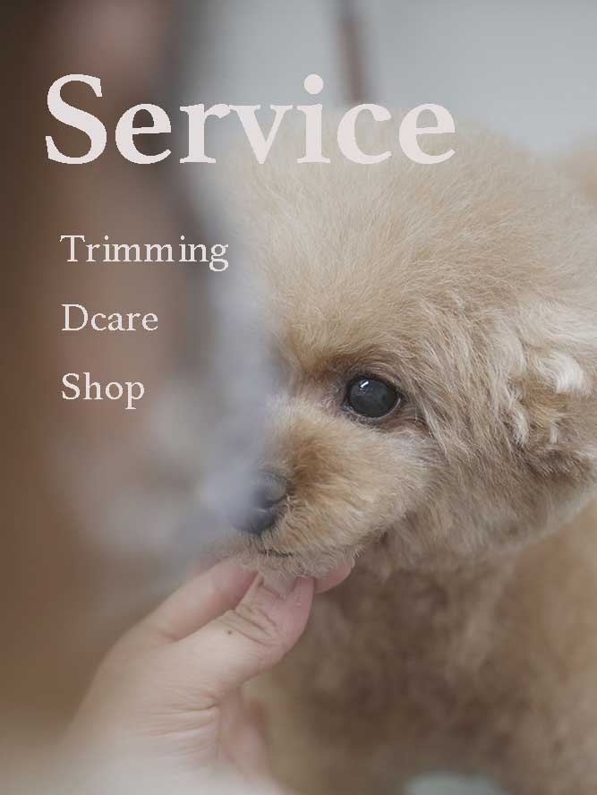 マザーズドッグス トリミング