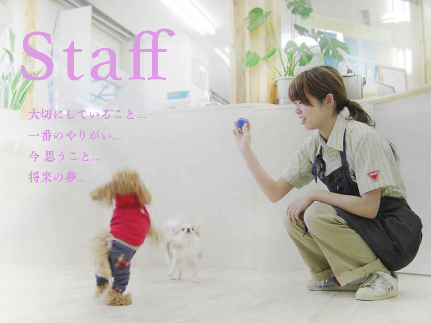 マザーズドッグス