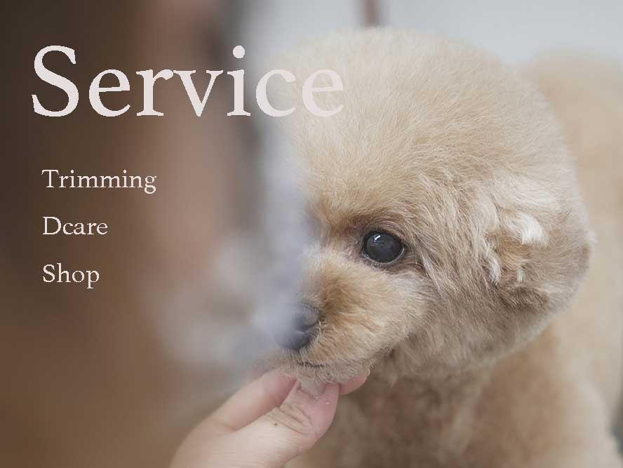 マザーズドッグス