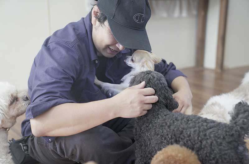 マザーズドッグス