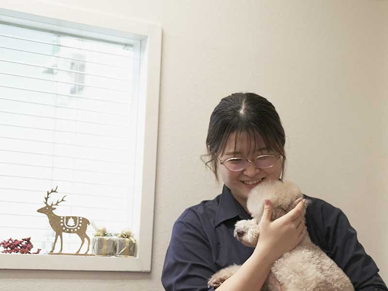 福岡市中央区,トリミング,トイプードル