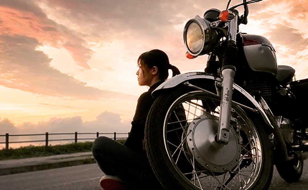 ペット訪問サービスNao