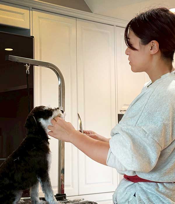 福岡市　ペット訪問サービスNao