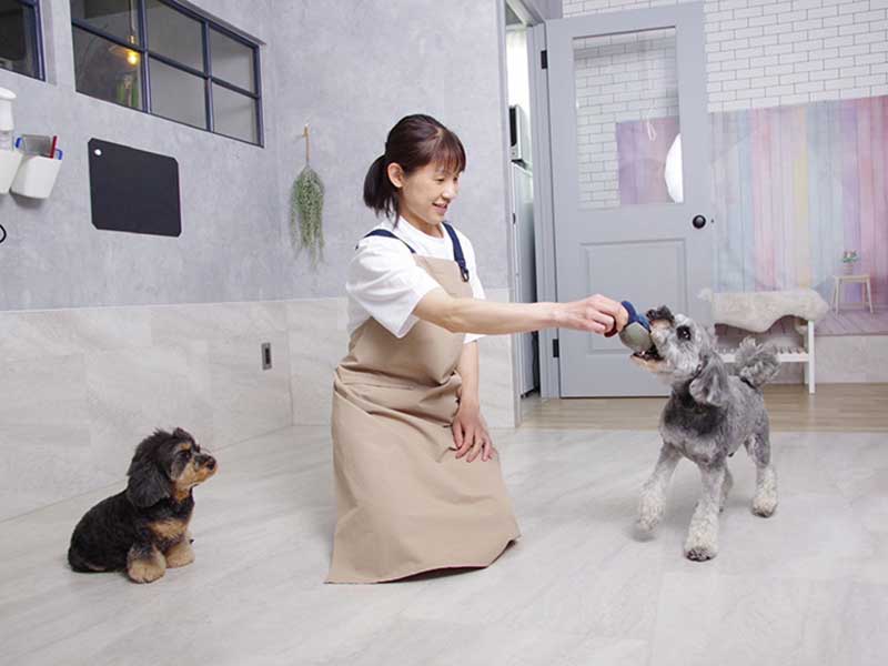 福岡市トリミングサロン　プチボヌール