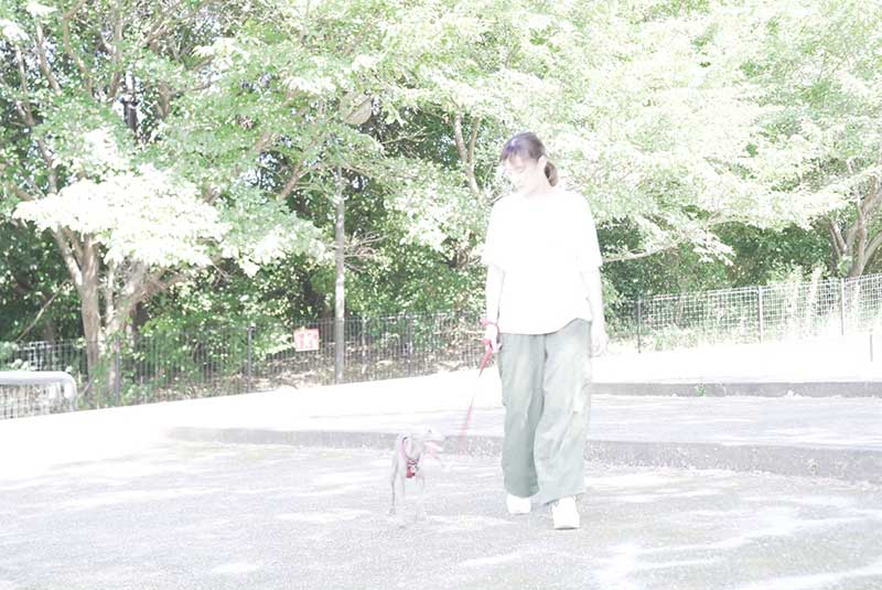 プチボヌール