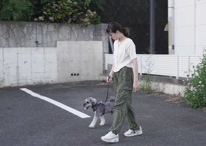 プチボヌール