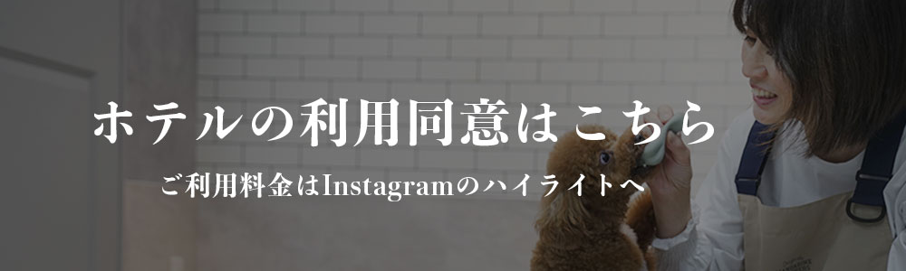 プチボヌール