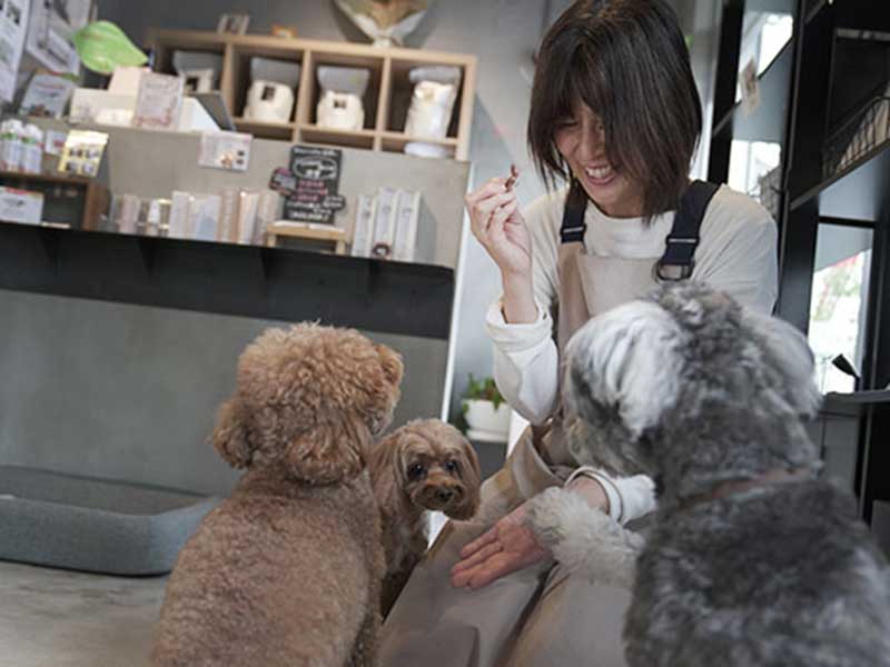 福岡市,東区のドグフード専門店・プチボヌール