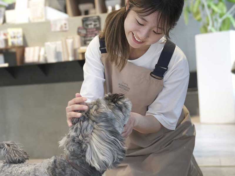 福岡市東区のトリミングサロン　プチボヌール