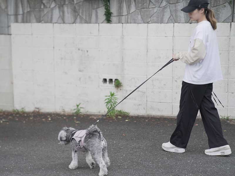 福岡市東区のトリミングサロン　プチボヌール
