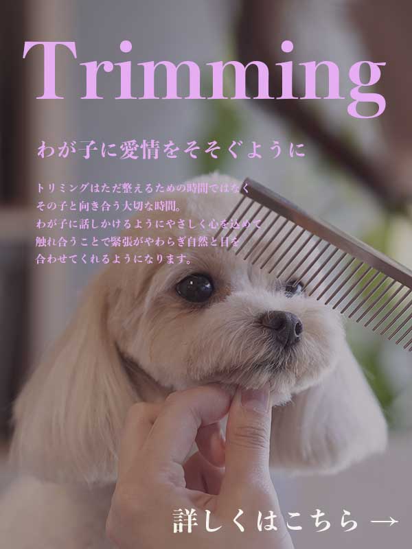 プチボヌールトリミング