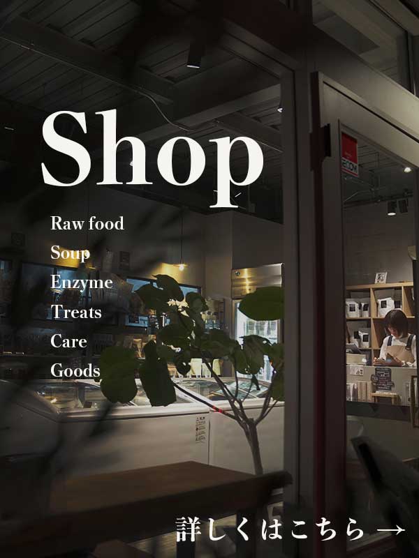 プチボヌール店舗