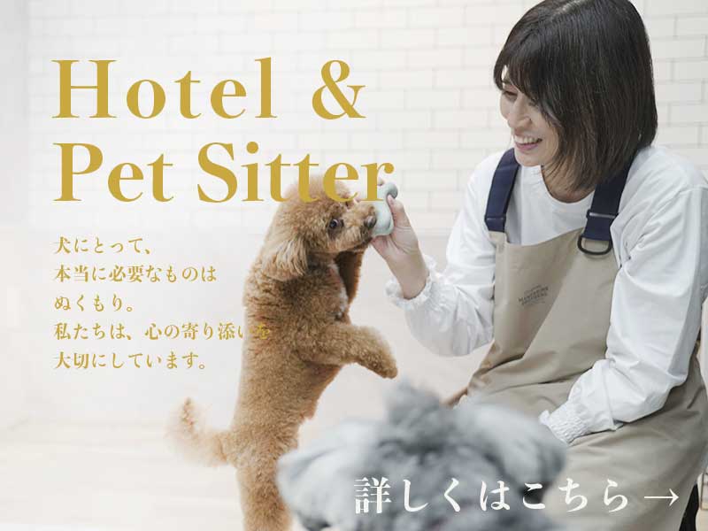 プチボヌール・ペットホテル＆ペットシッター