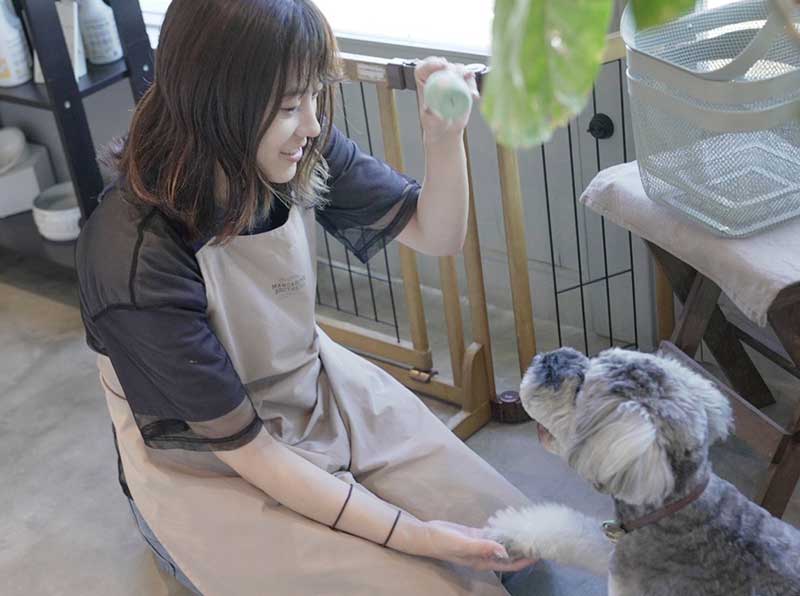 福岡市東区のペットサロン　プチボヌール