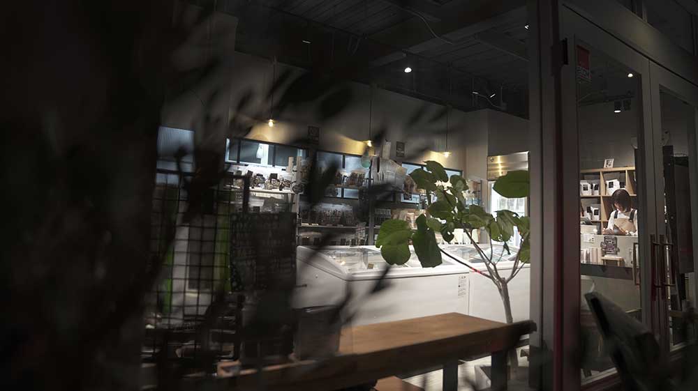 福岡市東区のペットサロン　プチボヌール