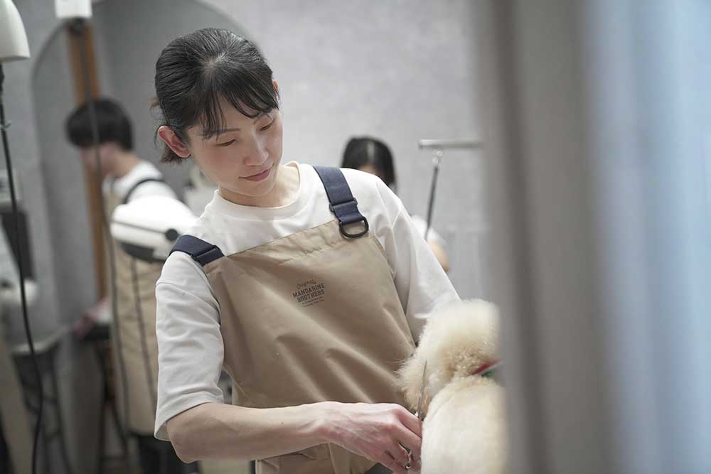 福岡市東区のペットサロン　プチボヌール