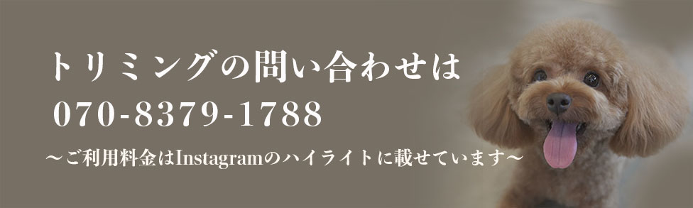 プチボヌール