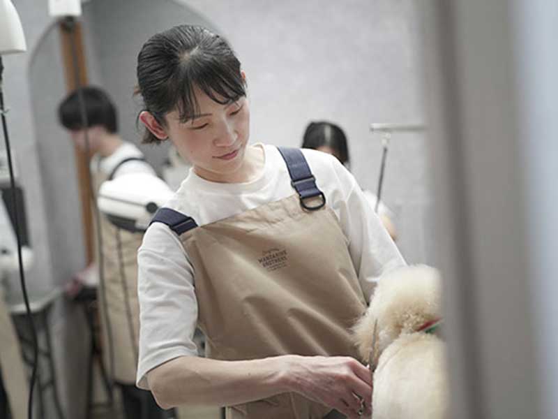 福岡市東区のトリミングサロン　プチボヌール