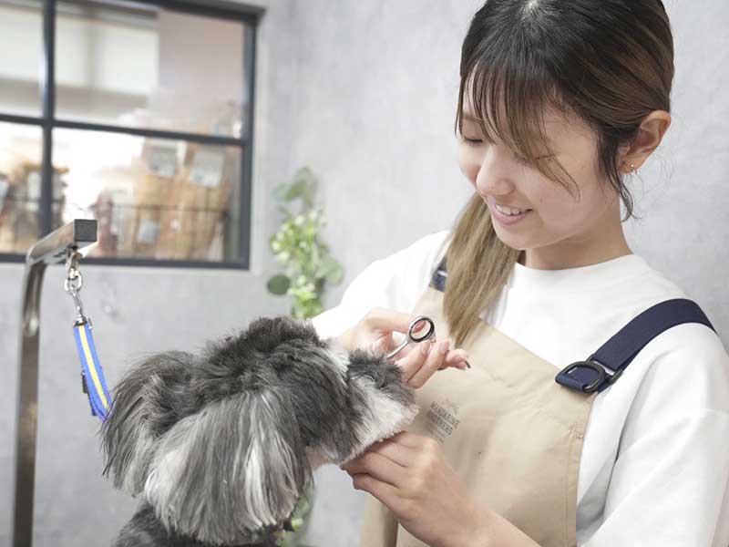 福岡市東区のトリミングサロン　プチボヌール