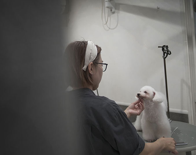 福岡のトリミングサロン　プティパ