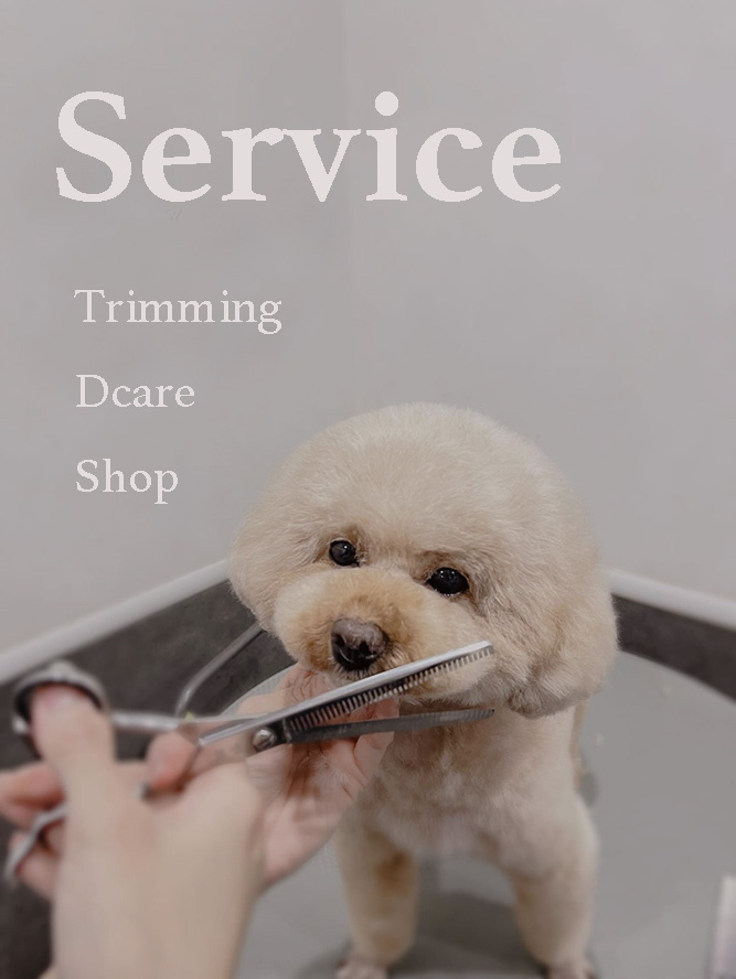 プティパ サービス