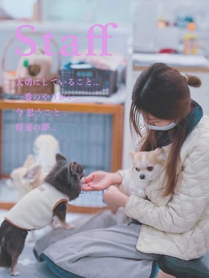 プティパ スタッフ