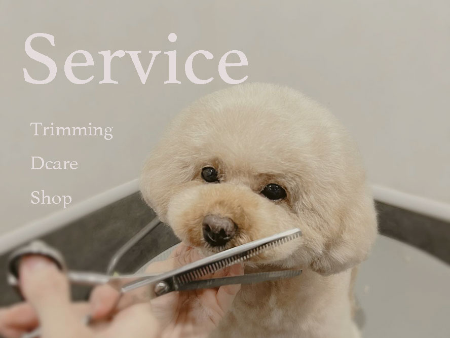 プティパ サービス