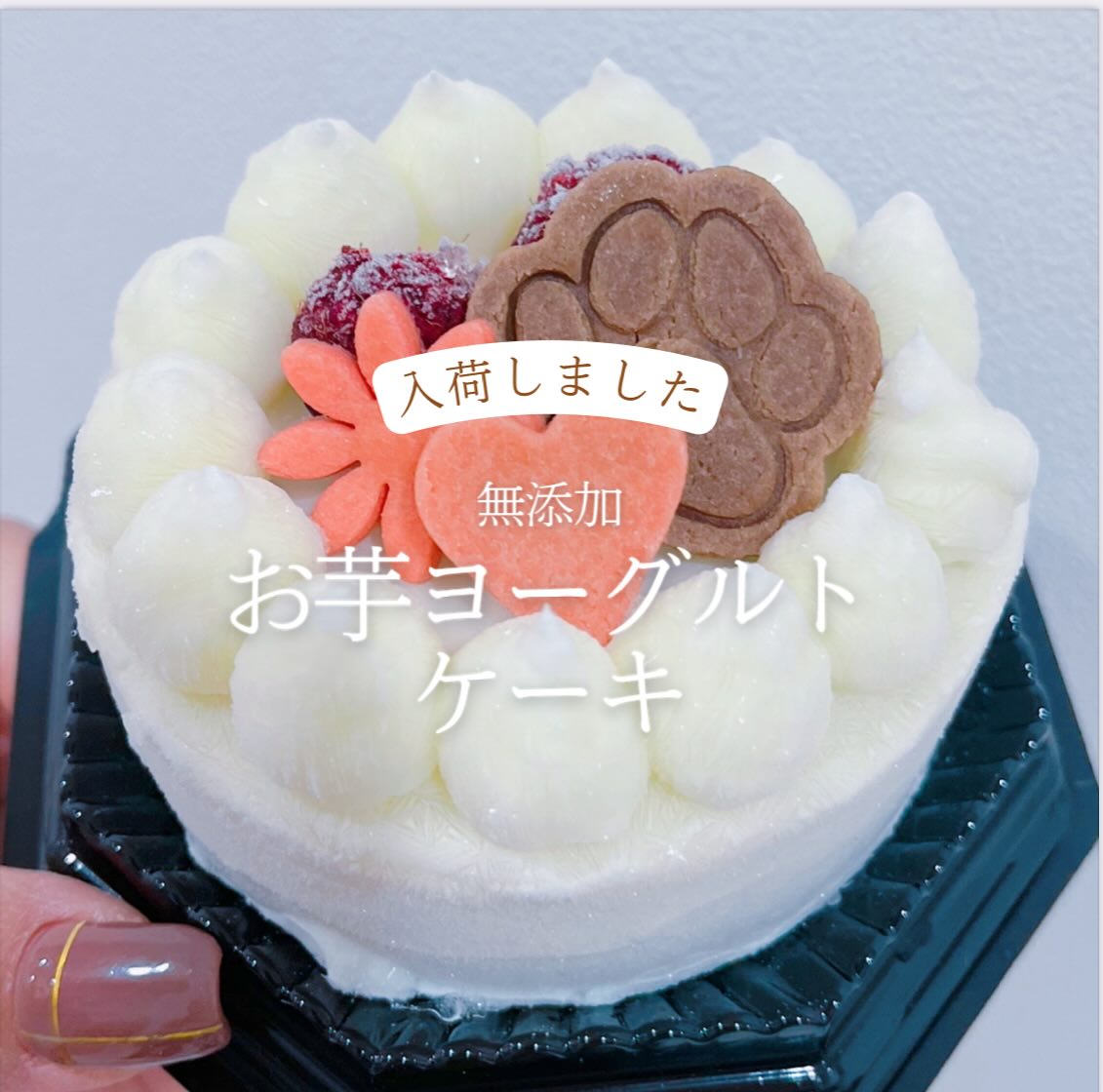 ペットサロンプティパ