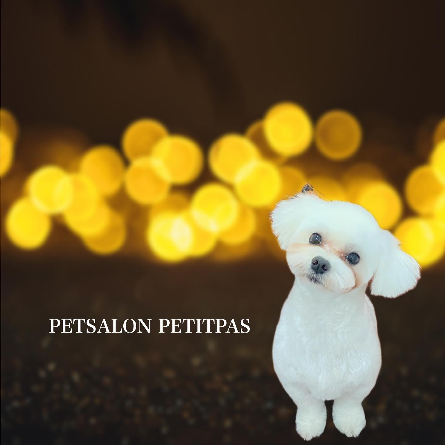 ペットサロンプティパ