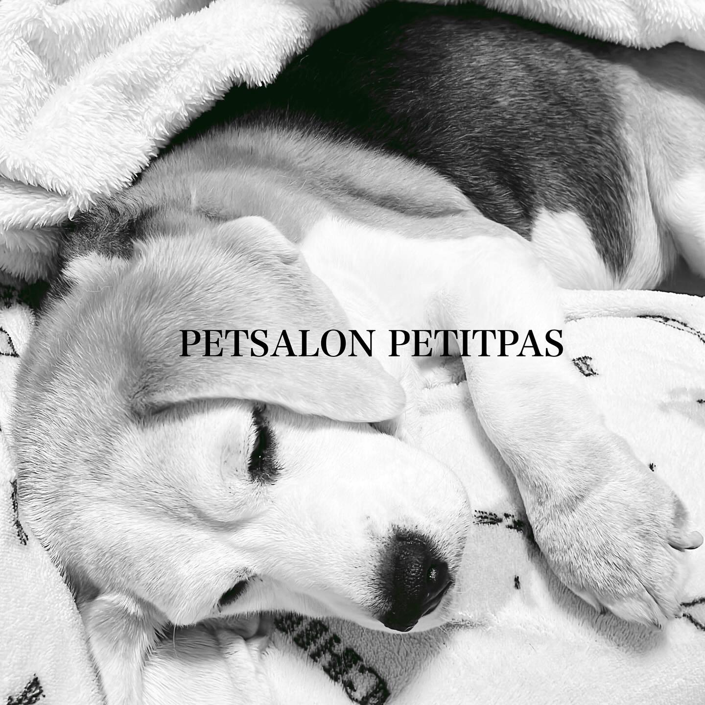 ペットサロンプティパ