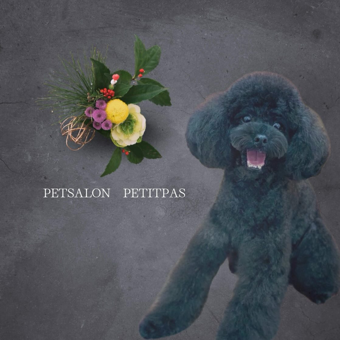 ペットサロンプティパ