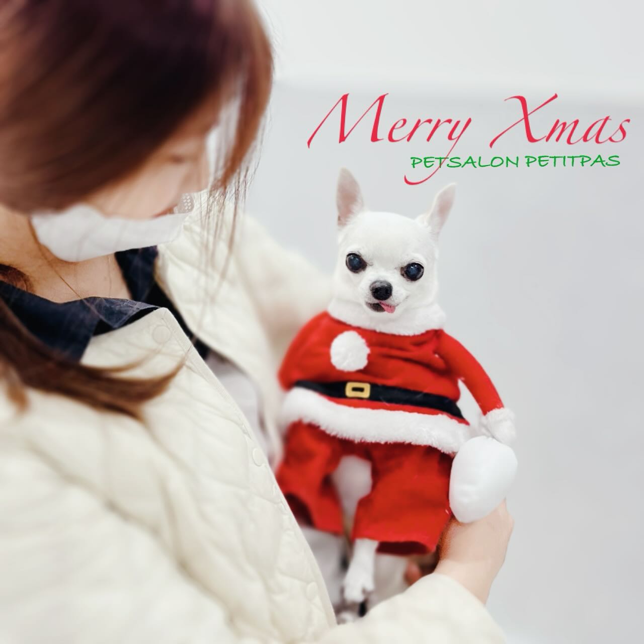 ペットサロンプティパ