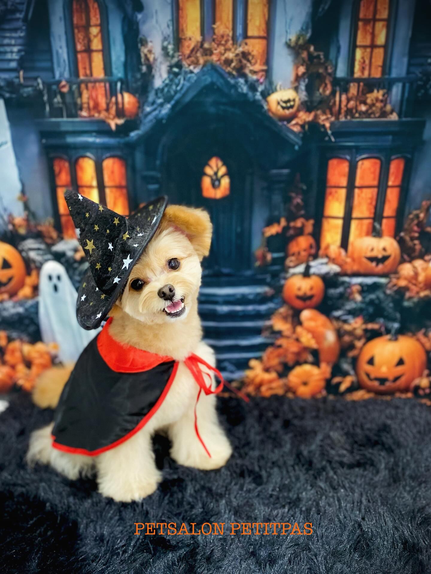 ペットサロンプティパ